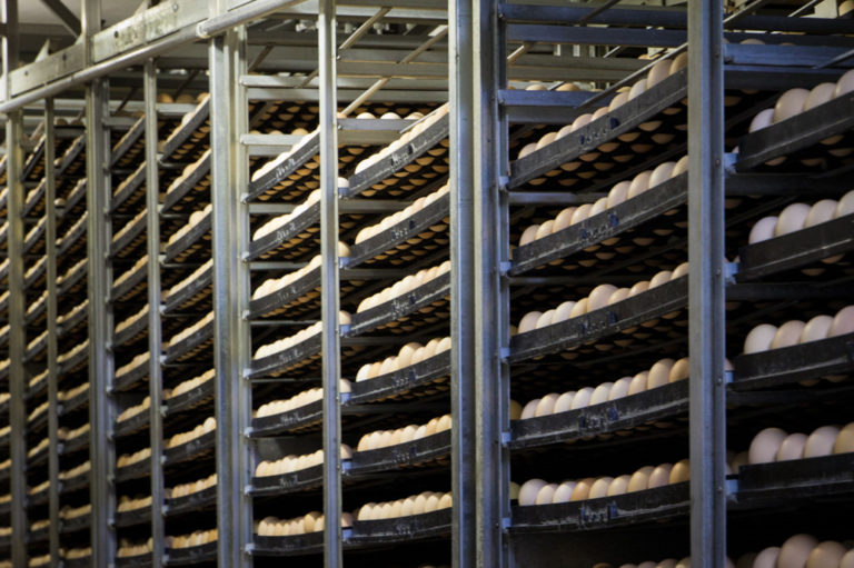 Автономная система озонирования